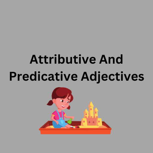 Attributive And Predicative Adjectives